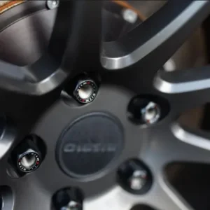 NISMO LMRS1 19x10.5 +12, Anthracite - Nismo
